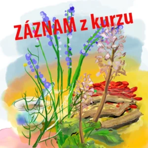 Bylinné směsi