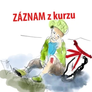 Hojení ran v praxi